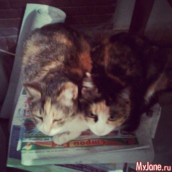 � �����)))