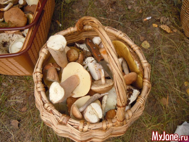 �����-2013