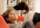 Влияние домашних животных на психологическое развитие детей