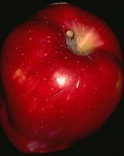 Red Delicious    