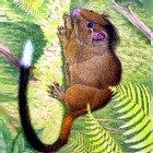 � ���� ���������� ����������� ����� ��������