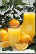 31 ��� ����� � ������ �����������!