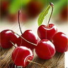 ����� �����? ���������� �������� ���!