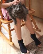 �� ������ ���� �� ������