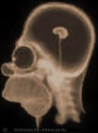 ����� ����� �������� � ������