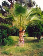 �� ������ �� ������� �������