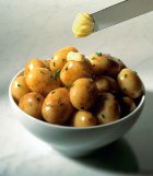 � ���� �������� ��������������� 