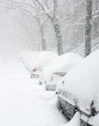 �������� ���� ����� �������� ������������