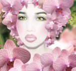 ������ � ������� ������� � ���������� �������