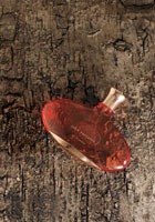 ������� ������ �� �������� ������