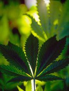 ��������� � ��������� ������� ����� ���� ��������