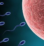 ������� ������� ������?