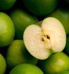 ������ ������ ���������