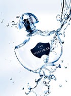 ��� ����� ������ Shalimar �� Guerlain