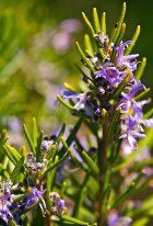 �������� � ������ ������ �����