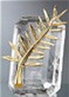 ������� ���� � ������ �������� �������� 