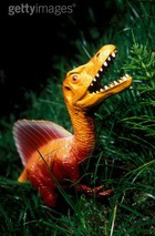 ������ ������ ���������� � �������� 