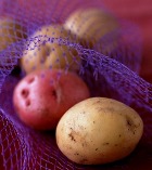 ������������ �����