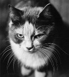 ����� �� ����� 