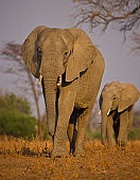 ����� ���������� ������� � �� ���������� ������ 