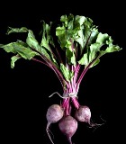 ���������� �������� �� �������� � ��������