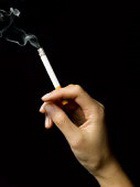 ������ ����� ����� ����� �� ����� ���������� 