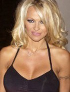 ������ �������� ���������������� ���������