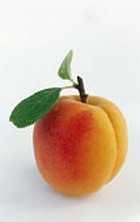 ������� � ������� ��� ���������� ����������