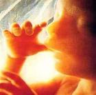 ������������ ������ ���� ����� ���� �����