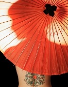 ������ ����� ������ ��������� ������ �������