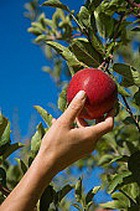 ������ ��� ���� ���������� ������ �� ������ ������ 