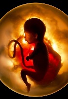 �������� ��������: ��� � ����� 