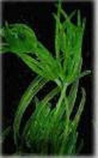 ��������� �� ���� ����� � ����������