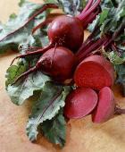 ������ ������ ������� 