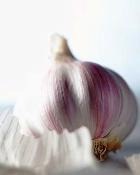 ������� ������� ������