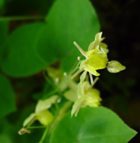 ������ ������������ ������ ��������