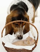 ����� � ������ - ��������� �� ���� ������������� �������