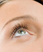 ����� ���� ���� ���������