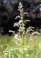 ������ � ����� ����������� �������� ��� ������ � �����! 