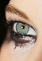 ��������� ����� ������ ��������� ����������� �����