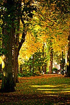 ������� � - ����� ������������ �� �����