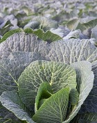 ���� ������� � ������!