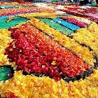 � ����� �������� ��������� ������ 