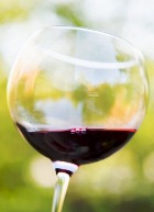 ���������� ����