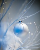 ����������� ��������� �������� ������� 	