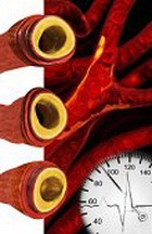 ����� ���������������� ���������� ����� �� ������