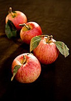 ������ ����������� �������� �� 17 ���