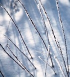 ���� - ���� ��������� � �������� 