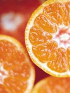 �������������� ������ ������