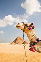 �� ������ ������ �� �����������